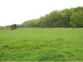 Tbd Henson Road, Unit 19 Bristol, TN 37620 - Photo 4 of 8 Photo 4