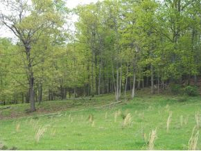 Tbd Henson Road, Unit 19 Bristol, TN 37620 - Photo 5 of 8 Photo 5