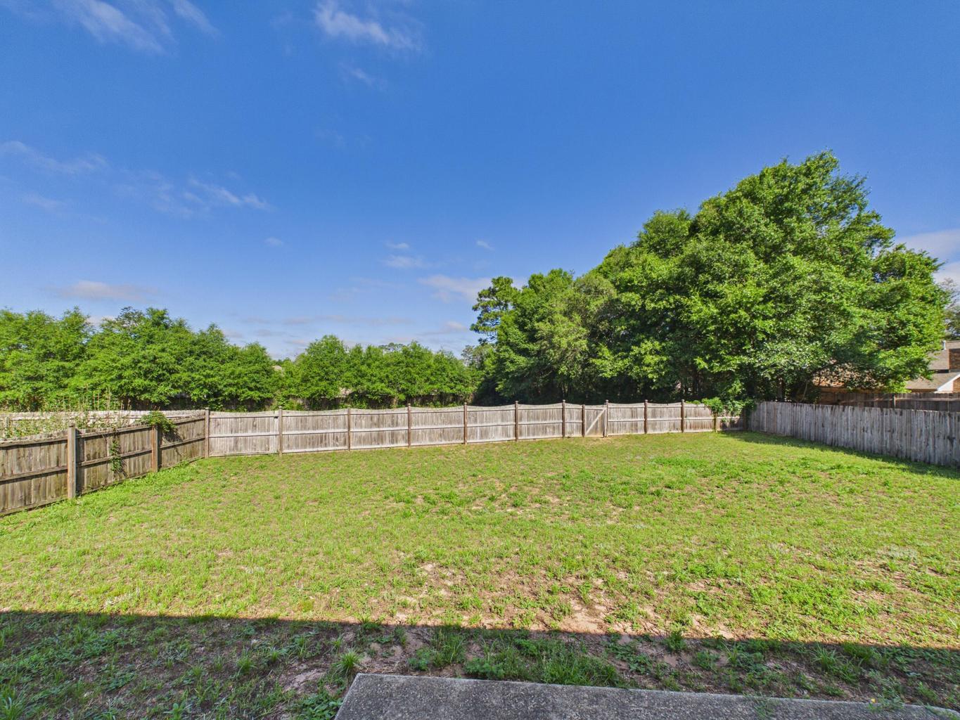 4546 Live Oak Church Road Crestview, FL 32539 - Photo 3 of 22 Backyard