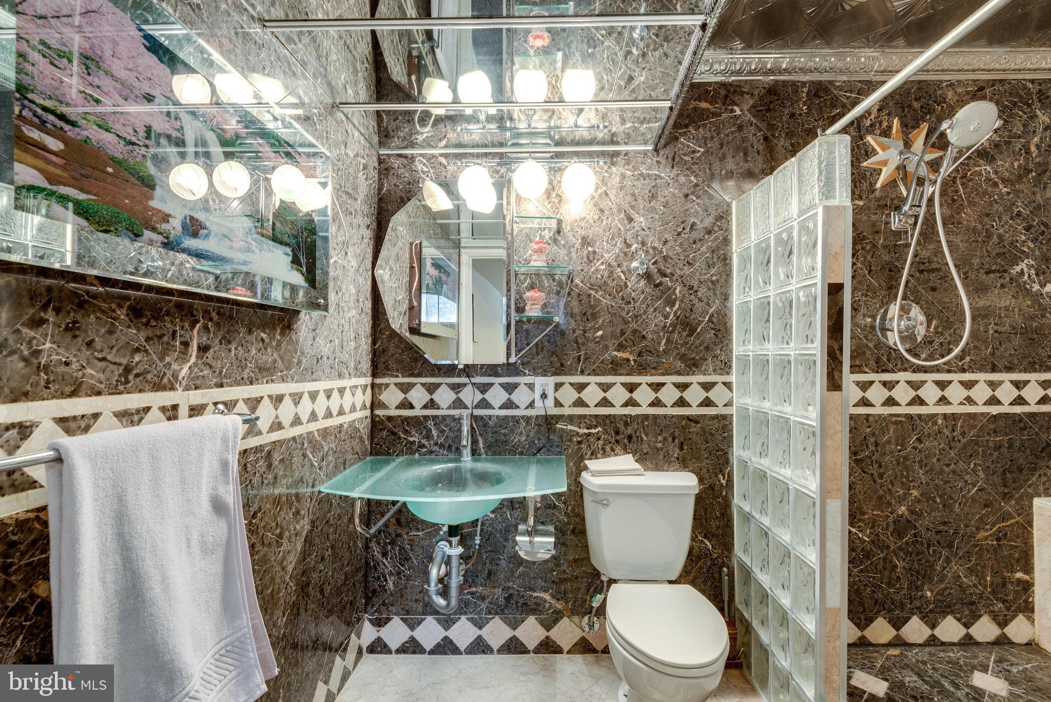 18262 Maple Spring Court Leesburg, VA 20176 - Photo 23 of 36 Basement Bathroom