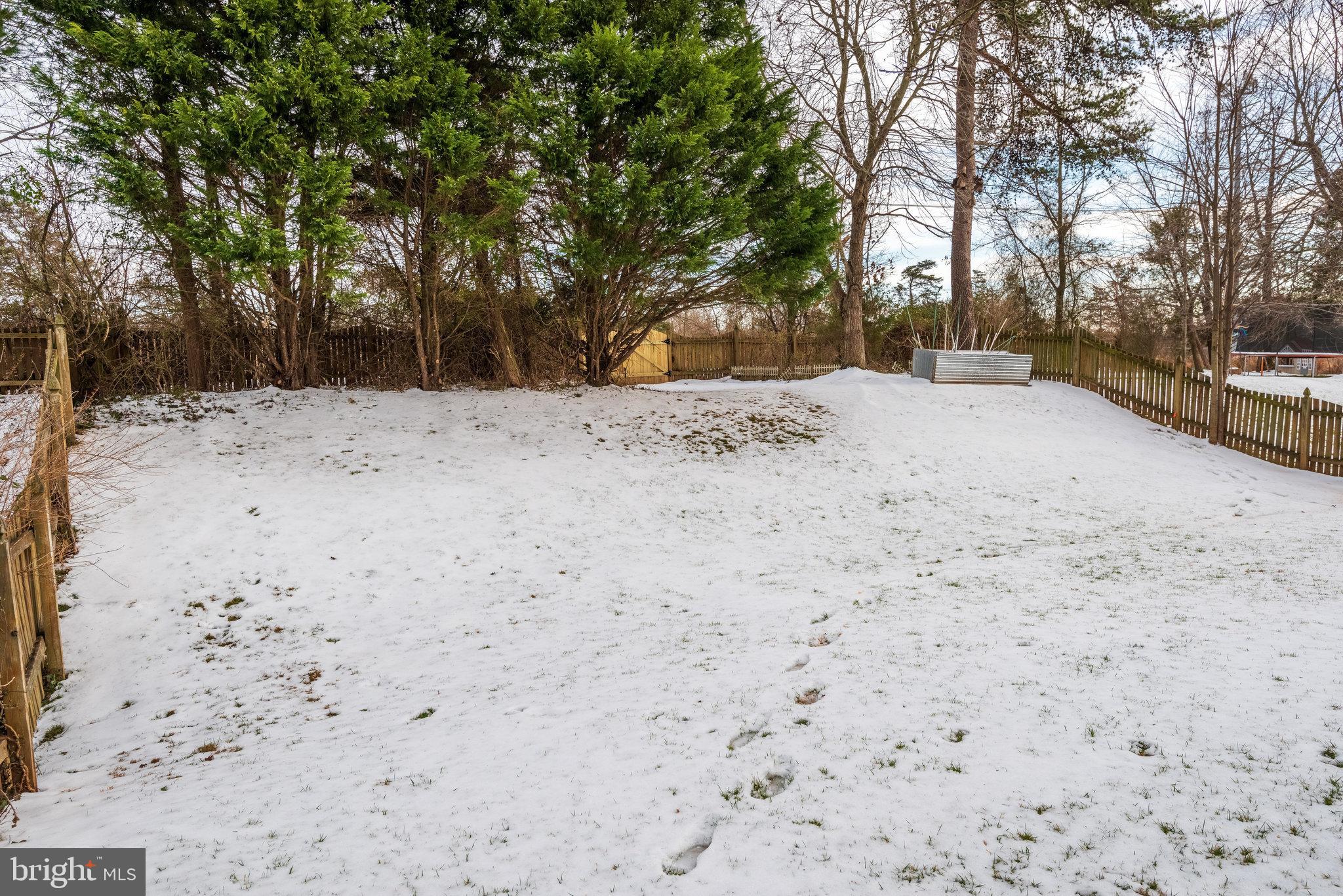 18262 Maple Spring Court Leesburg, VA 20176 - Photo 30 of 36 Back yard