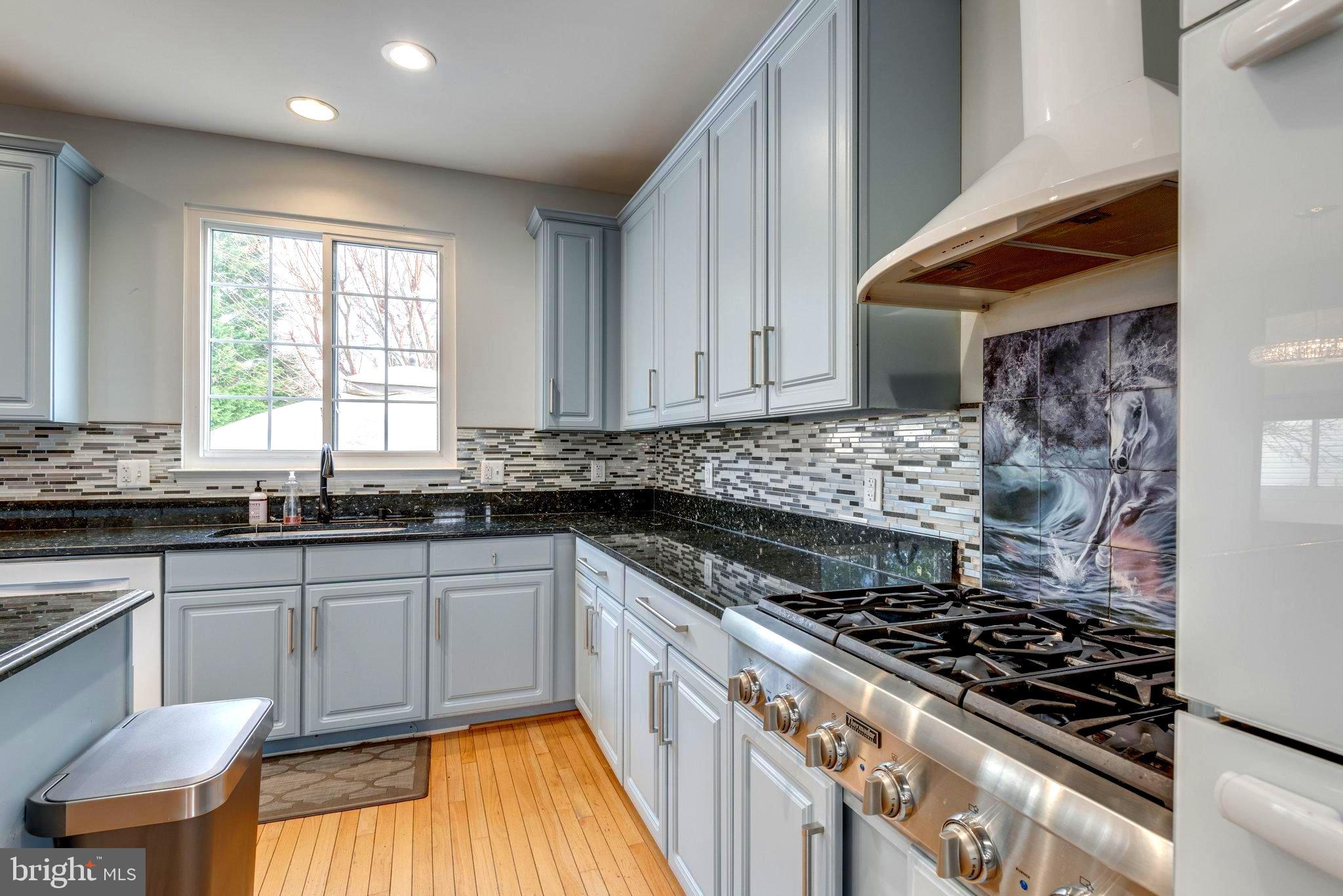 18262 Maple Spring Court Leesburg, VA 20176 - Photo 9 of 36 Kitchen