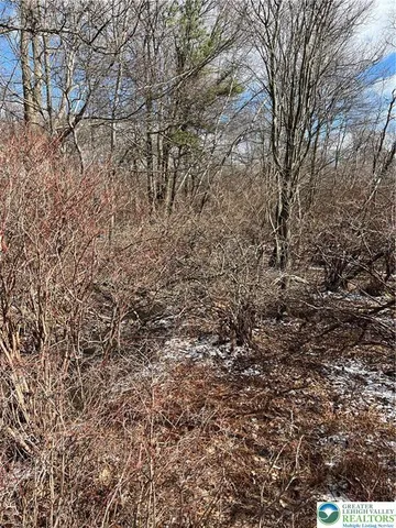 a view of swimming pool with a yard