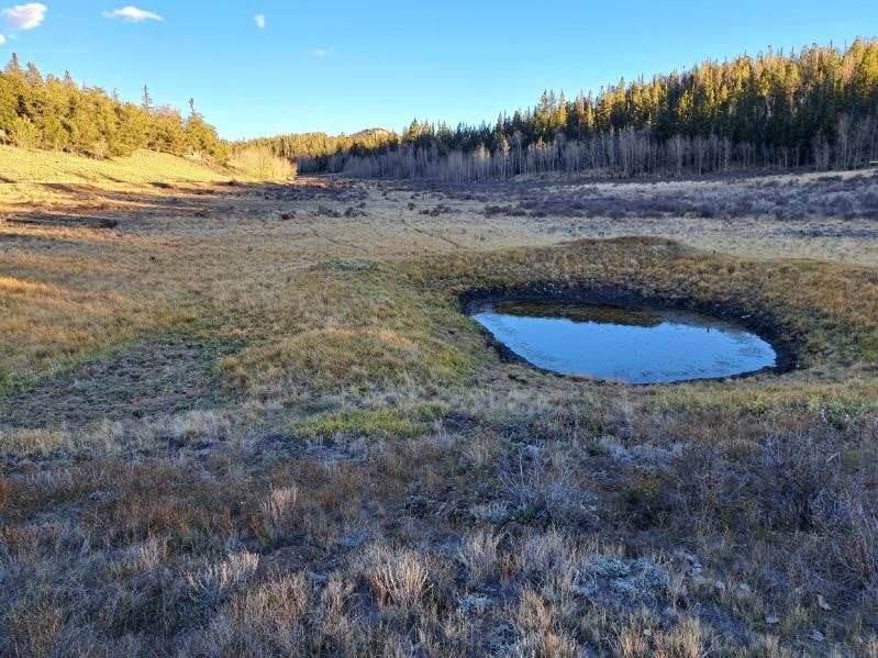 0 Haida Lane Como, CO 80456 - Photo 2 of 21 a view of a yard