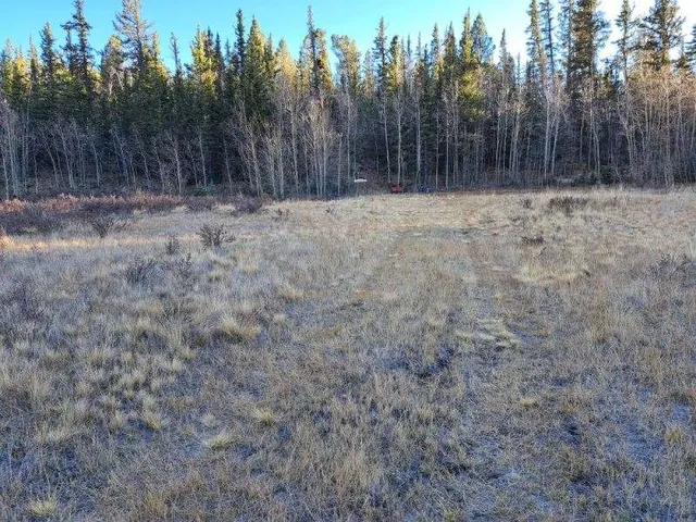 a view of a yard with trees in the background