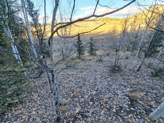 a view of outdoor space