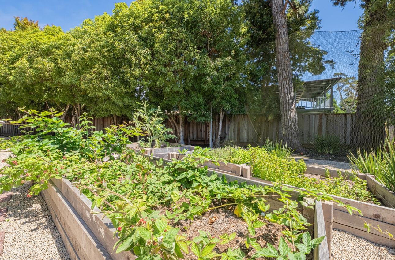 175 Tamarack Drive Aptos, CA 95003 - Photo 47 of 54 a view of a backyard with plants and large tree