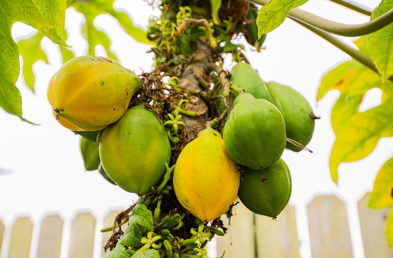 175 Tamarack Drive Aptos, CA 95003 - Photo 53 of 54 a view of a swimming pool