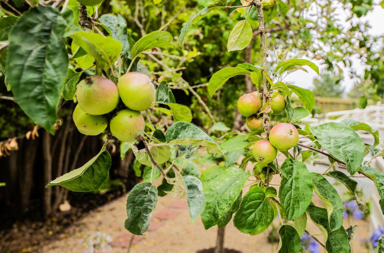 175 Tamarack Drive Aptos, CA 95003 - Photo 54 of 54