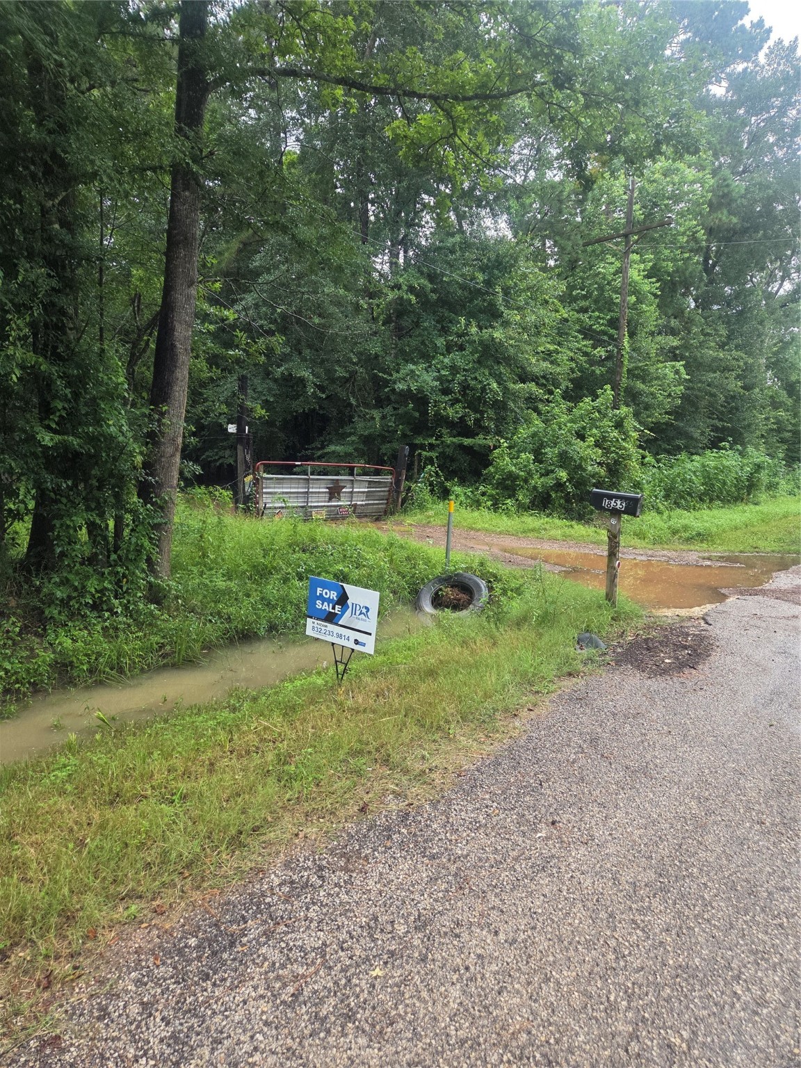 0 Magnolia Lane North Splendora, TX 77372 - Photo 8 of 10 a view of a park with large trees