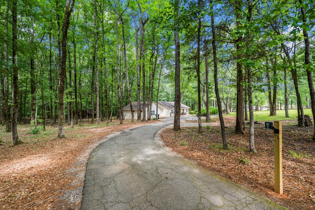 8651 McKee Road Upatoi, GA 31829 - Photo 22 of 28