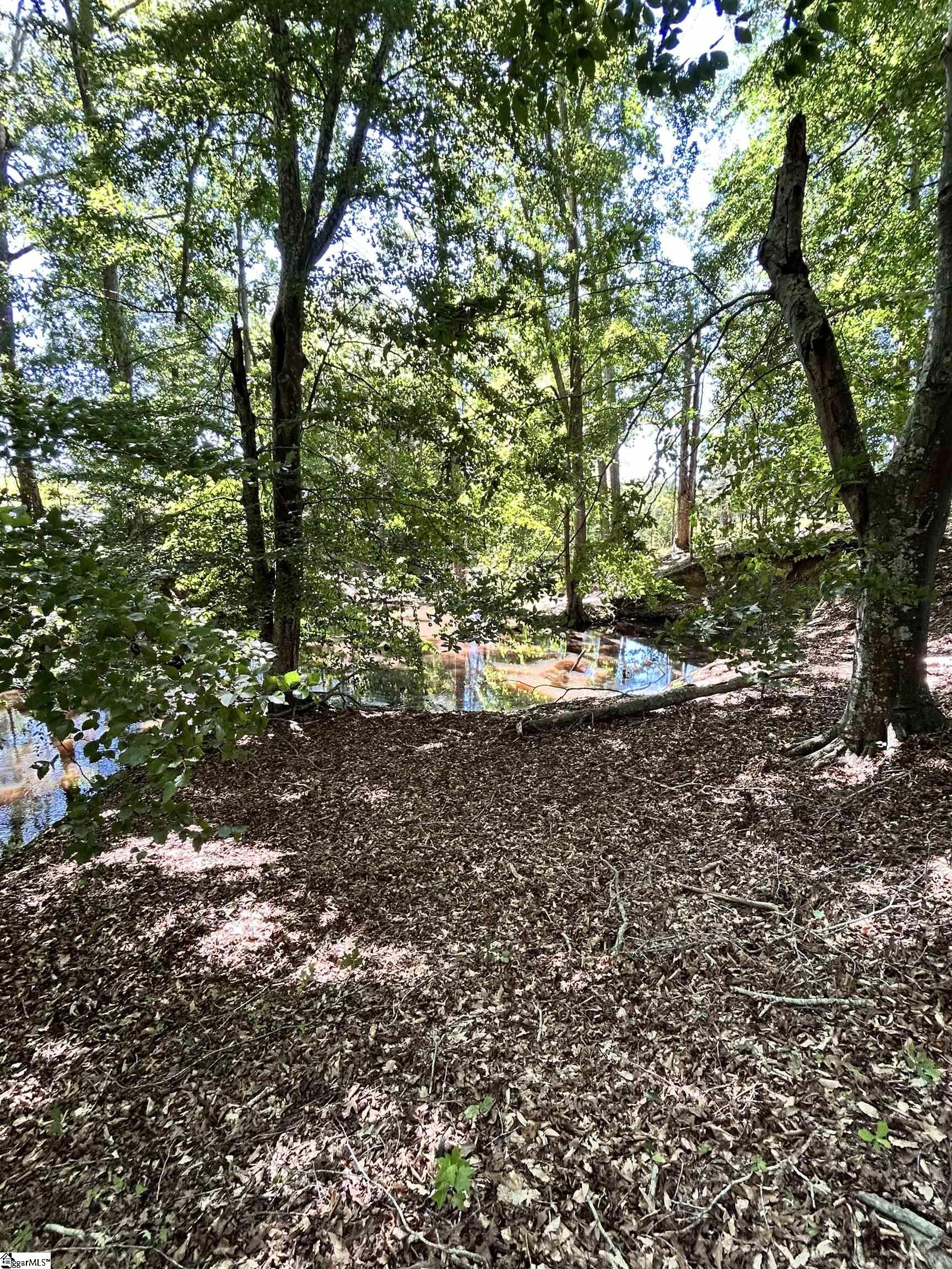 9 Sc - 413 Highway Anderson, SC 29621 - Photo 11 of 14