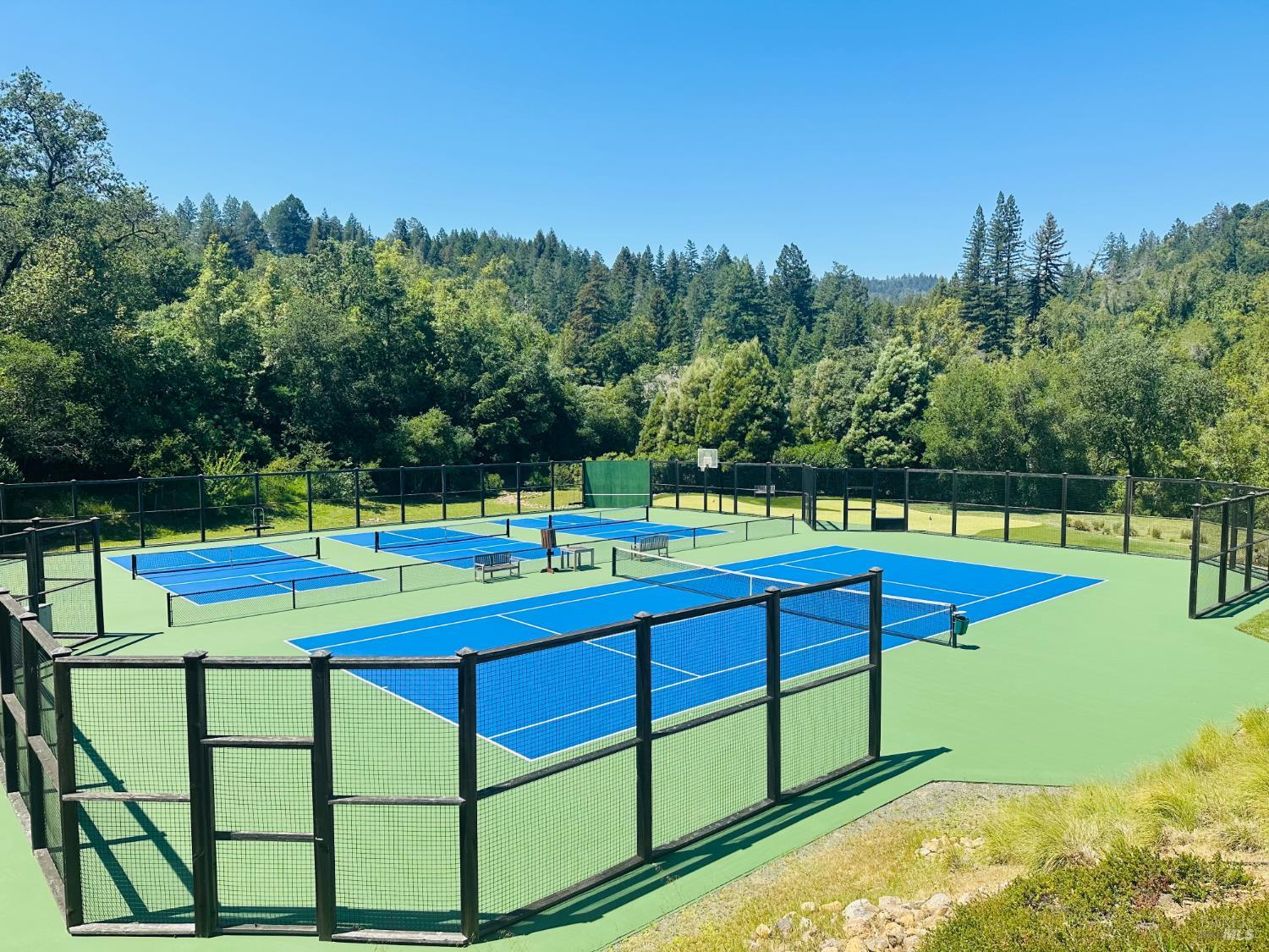 4500 Redwood Road Napa, CA 94558 - Photo 55 of 86 a view of a swimming pool with a bench and trees around