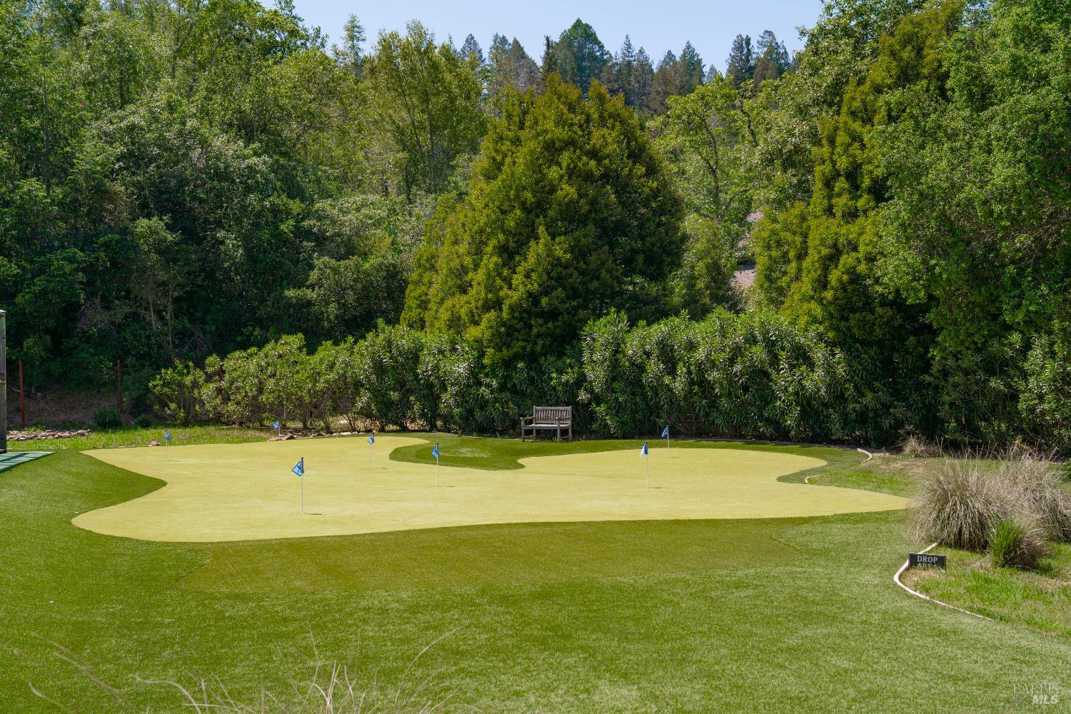 4500 Redwood Road Napa, CA 94558 - Photo 64 of 86 a view of a swimming pool with a yard