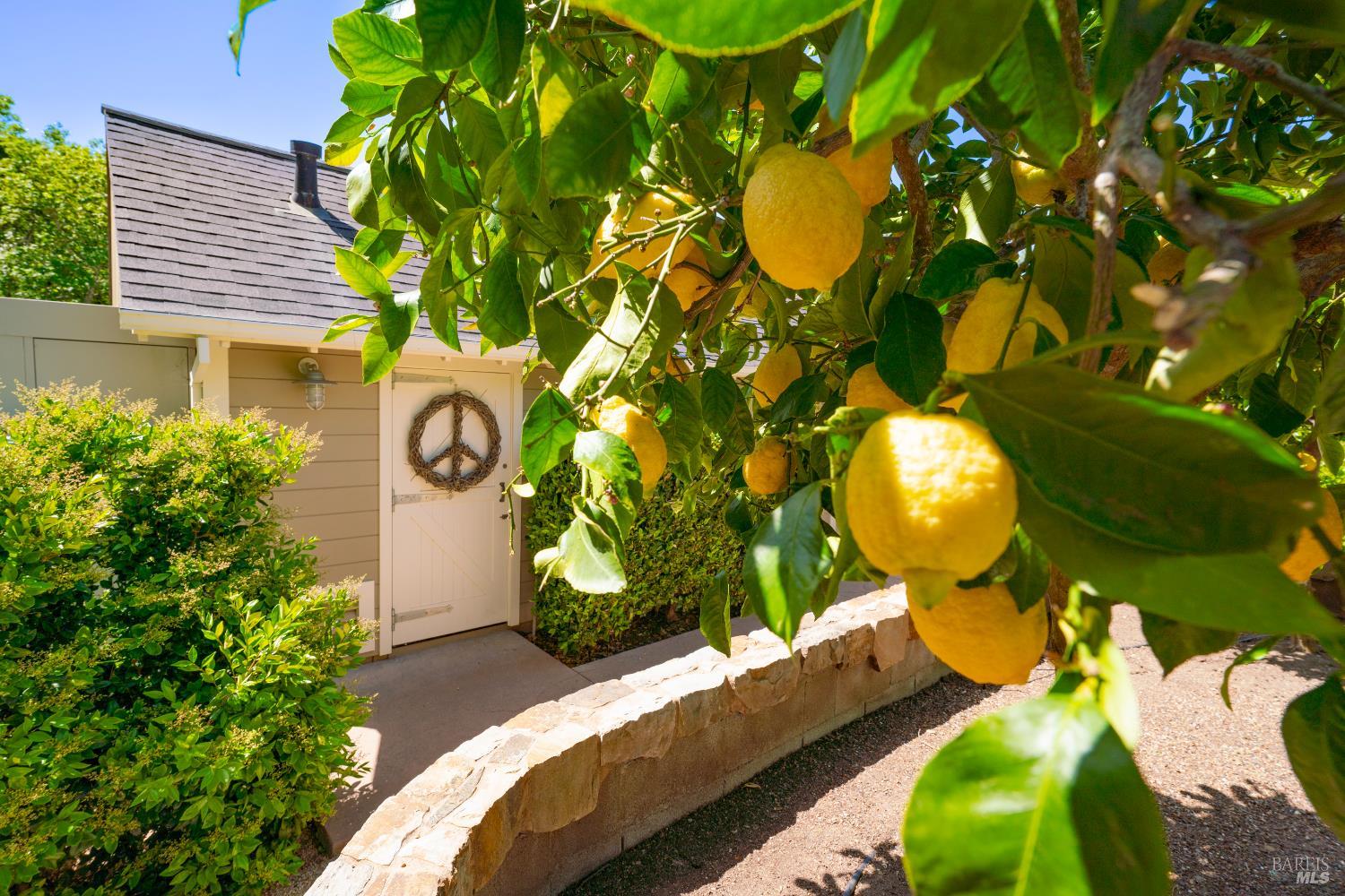4500 Redwood Road Napa, CA 94558 - Photo 66 of 86 a view of a swimming pool with a potted plant and a potted plant