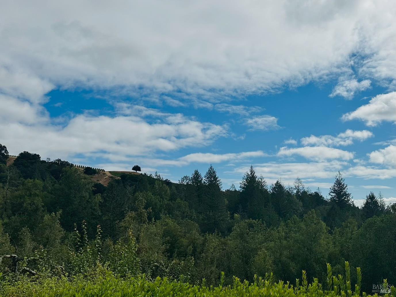 4500 Redwood Road Napa, CA 94558 - Photo 83 of 86