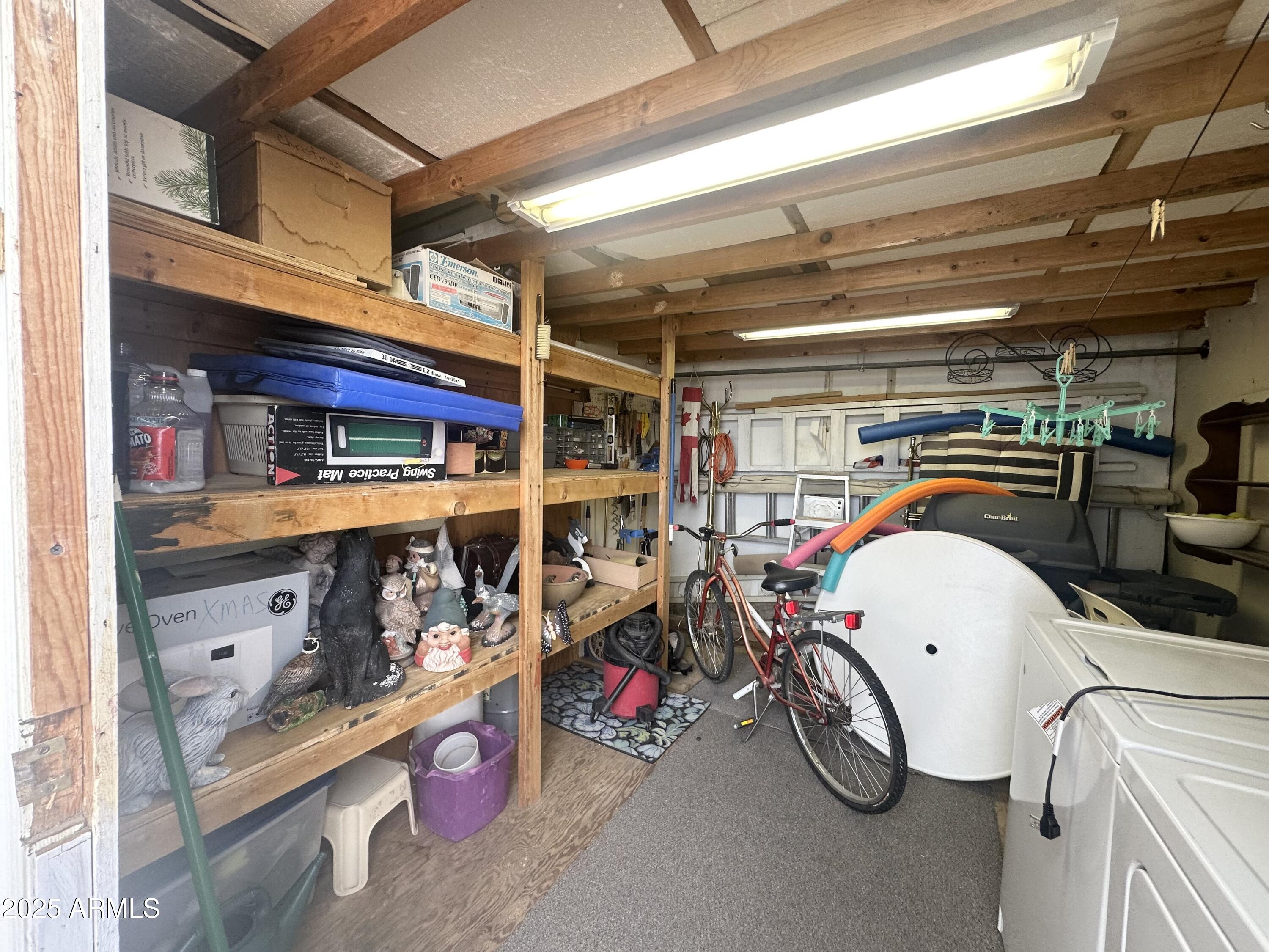 3710 South Goldfield Road, Unit 1052 Apache Junction, AZ 85119 - Photo 35 of 48 INSIDE SHED