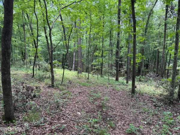 $377,300 | Tbd Confederate Highway, Fairfax, SC 29827