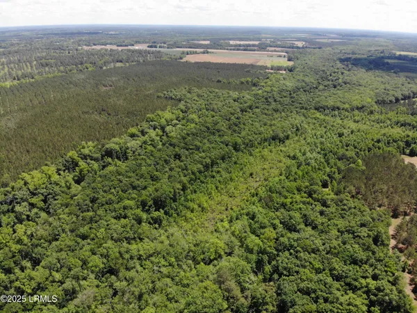 $377,300 | Tbd Confederate Highway, Fairfax, SC 29827