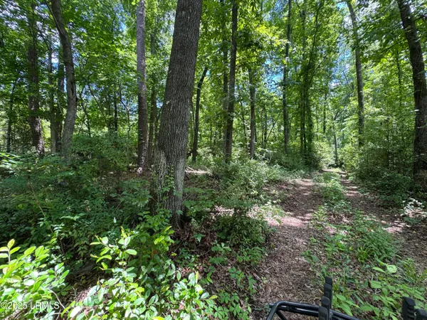 $377,300 | Tbd Confederate Highway, Fairfax, SC 29827