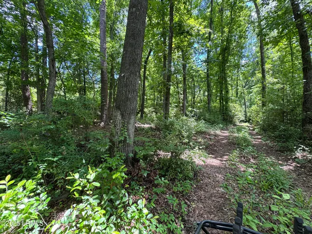 $377,300 | Tbd Confederate Highway, Fairfax, SC 29827