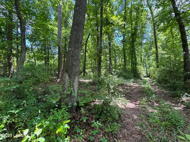 $377,300 | Tbd Confederate Highway, Fairfax, SC 29827