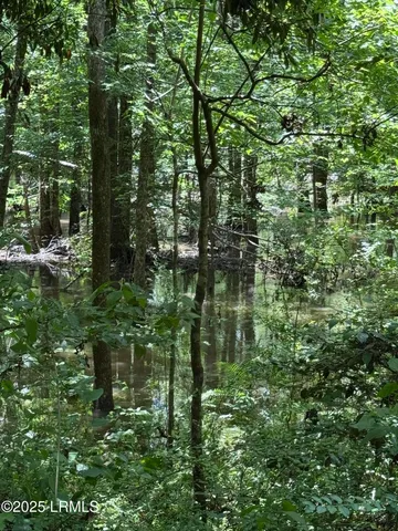 $377,300 | Tbd Confederate Highway, Fairfax, SC 29827