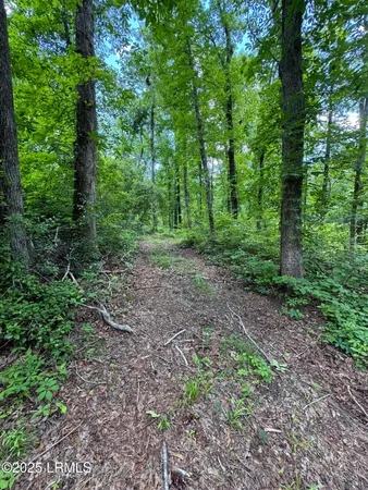 $377,300 | Tbd Confederate Highway, Fairfax, SC 29827