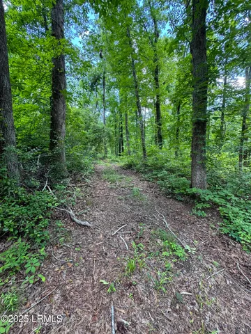 $377,300 | Tbd Confederate Highway, Fairfax, SC 29827