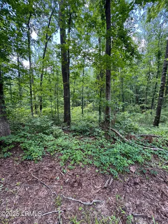 $377,300 | Tbd Confederate Highway, Fairfax, SC 29827