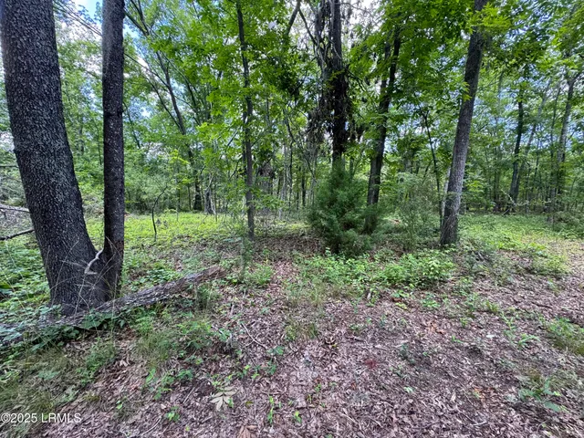 $377,300 | Tbd Confederate Highway, Fairfax, SC 29827