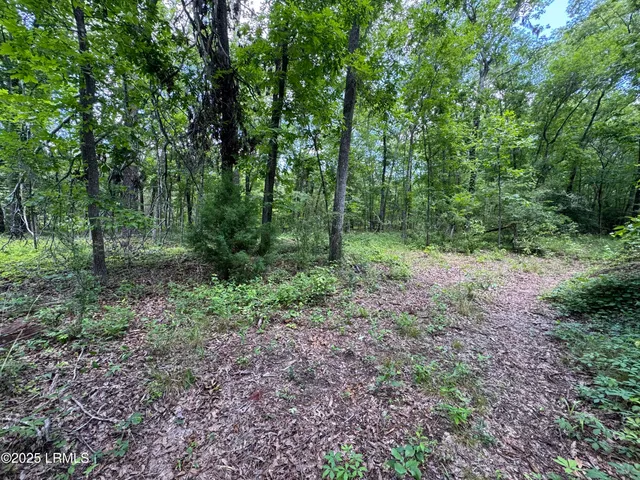 $377,300 | Tbd Confederate Highway, Fairfax, SC 29827