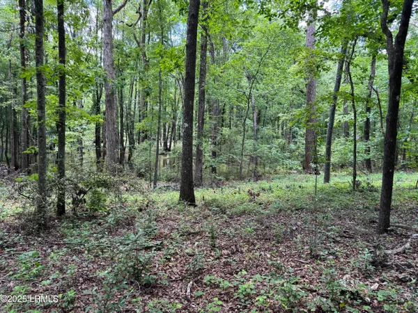 $377,300 | Tbd Confederate Highway, Fairfax, SC 29827