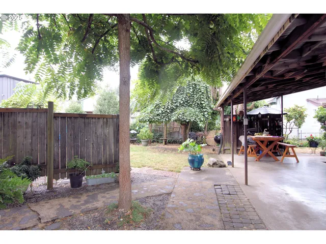 a view of a backyard with potted plants and a large tree