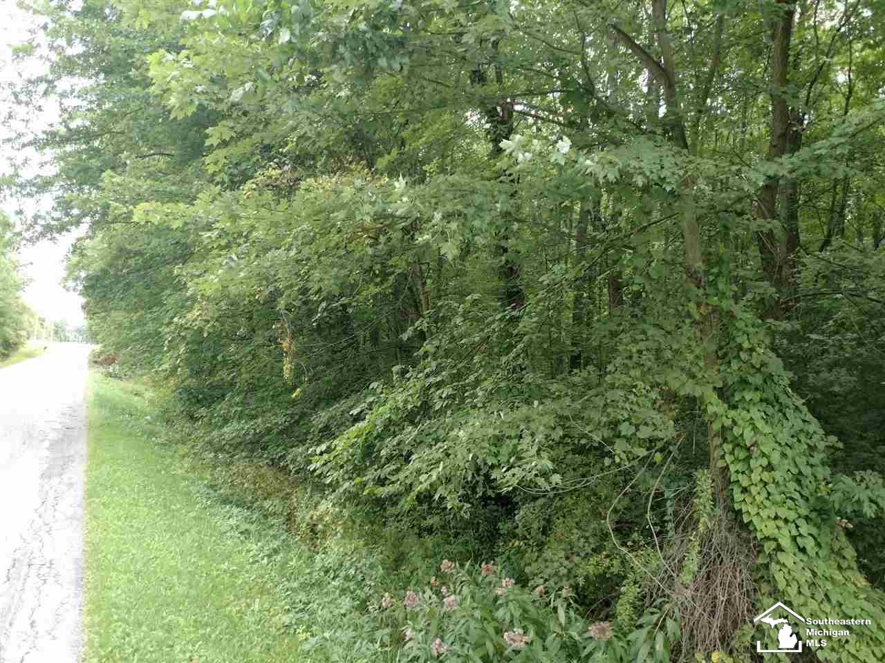 0 Albain Road Petersburg, MI 49270 - Photo 4 of 5