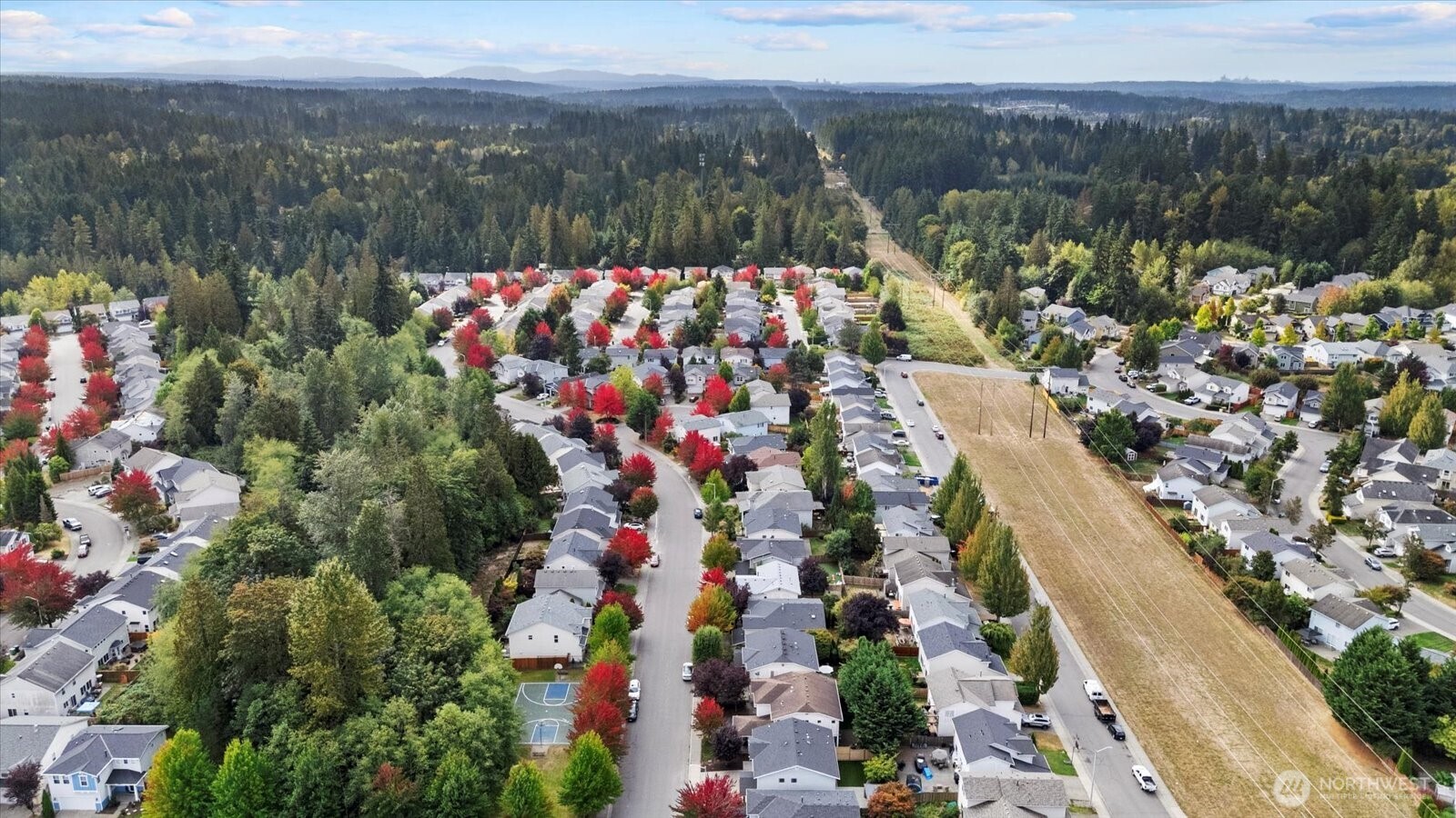 14912 48th Avenue Southeast Bothell, WA 98012 - Photo 35 of 40 a view of city and flowers