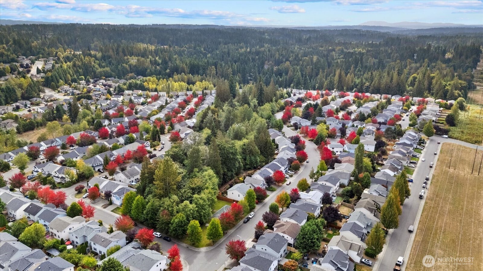 14912 48th Avenue Southeast Bothell, WA 98012 - Photo 36 of 40 a view of city and flowers