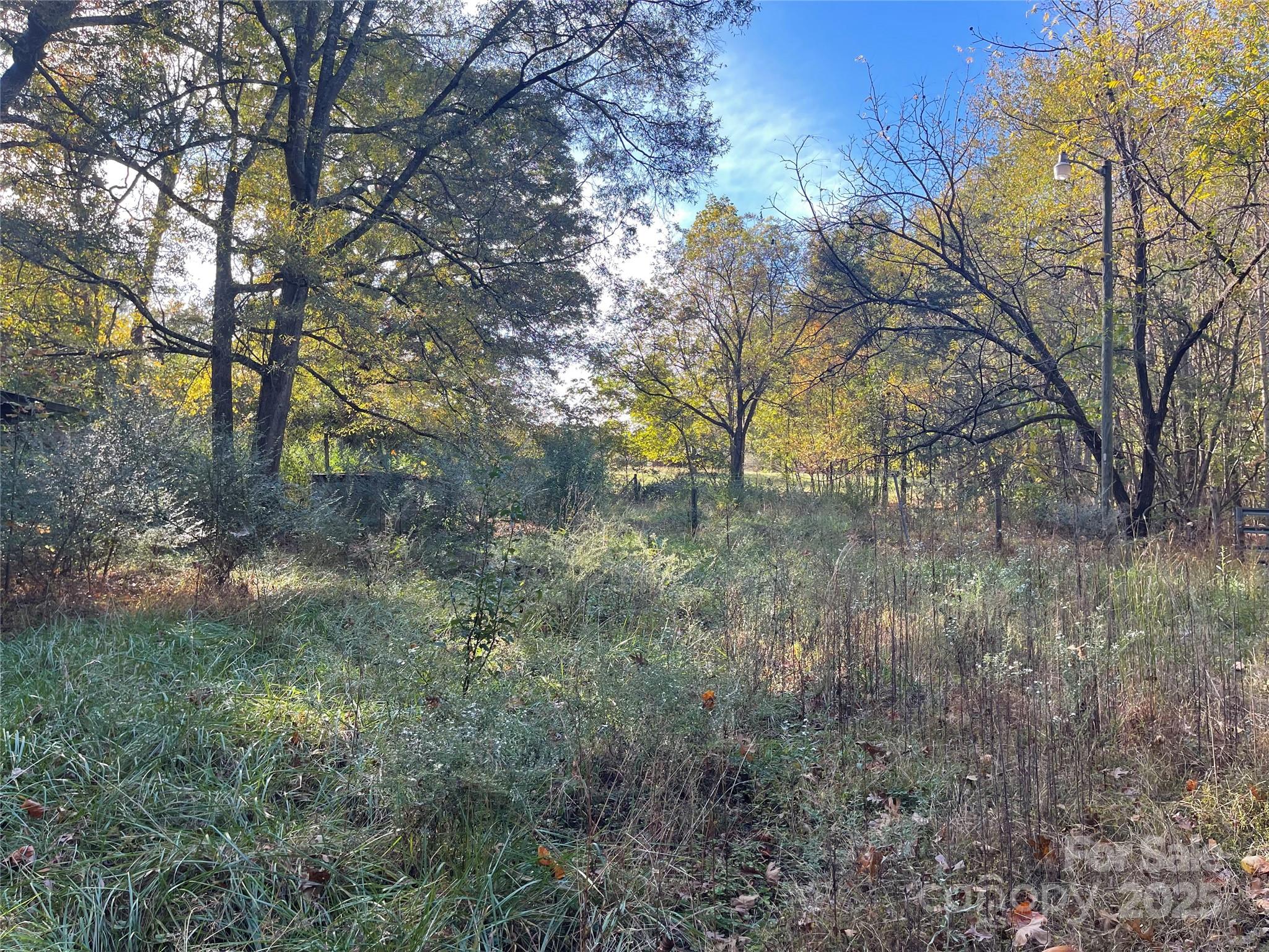 137 Stacy Road Mooresville, NC 28115 - Photo 4 of 9