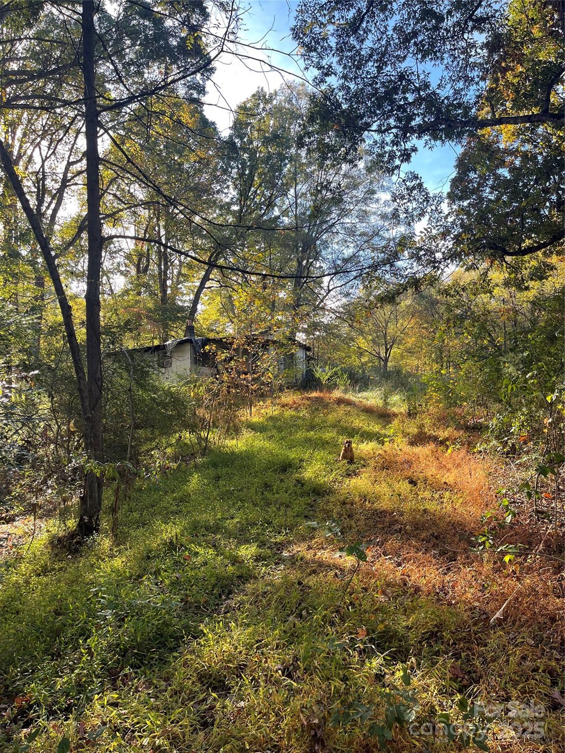 137 Stacy Road Mooresville, NC 28115 - Photo 5 of 9 a view of a yard