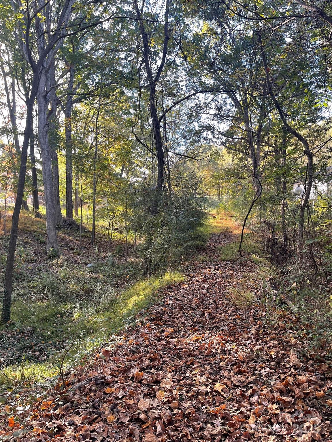 137 Stacy Road Mooresville, NC 28115 - Photo 6 of 9 a view of backyard with green space