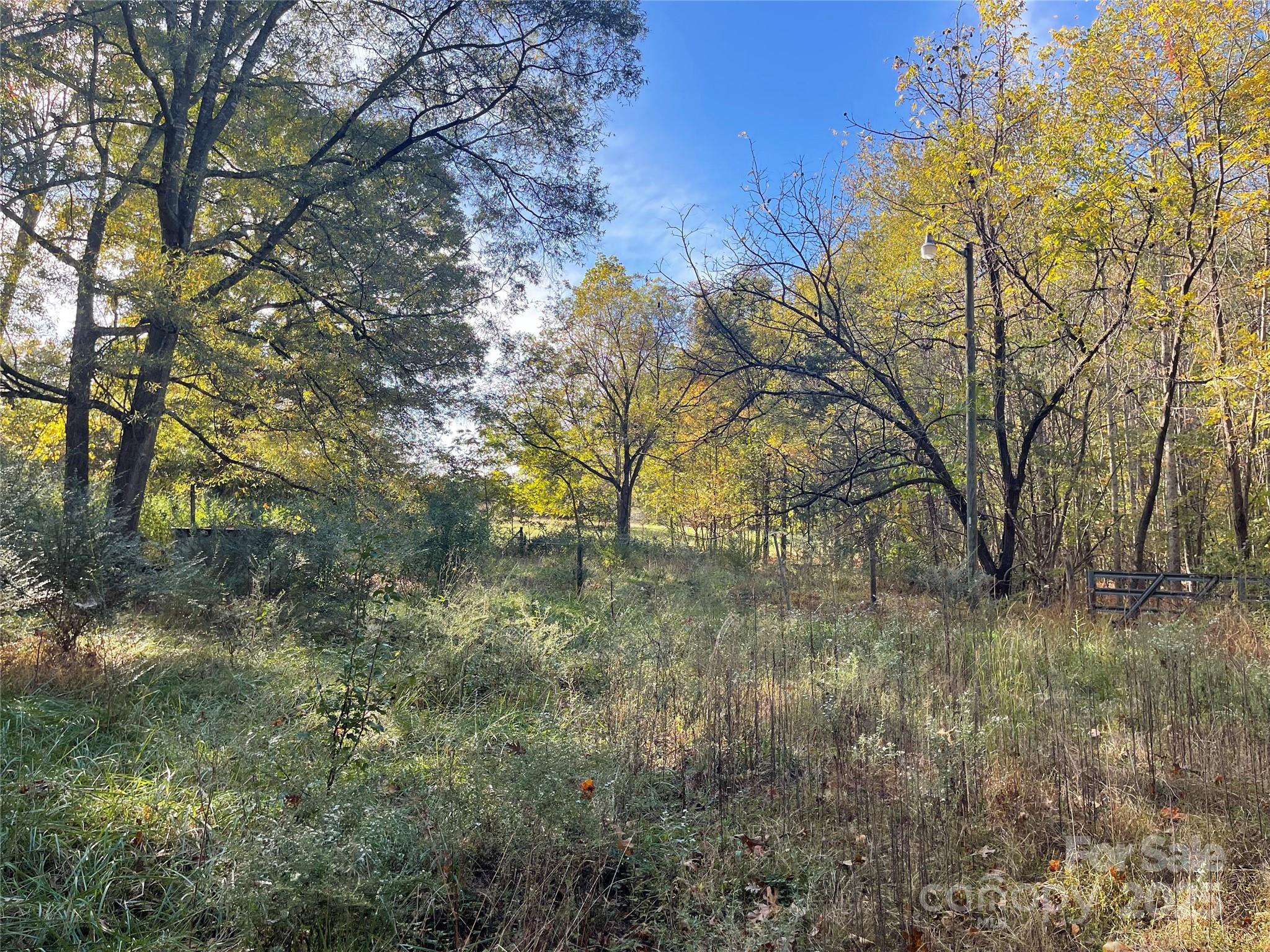 137 Stacy Road Mooresville, NC 28115 - Photo 8 of 9 a view of a yard