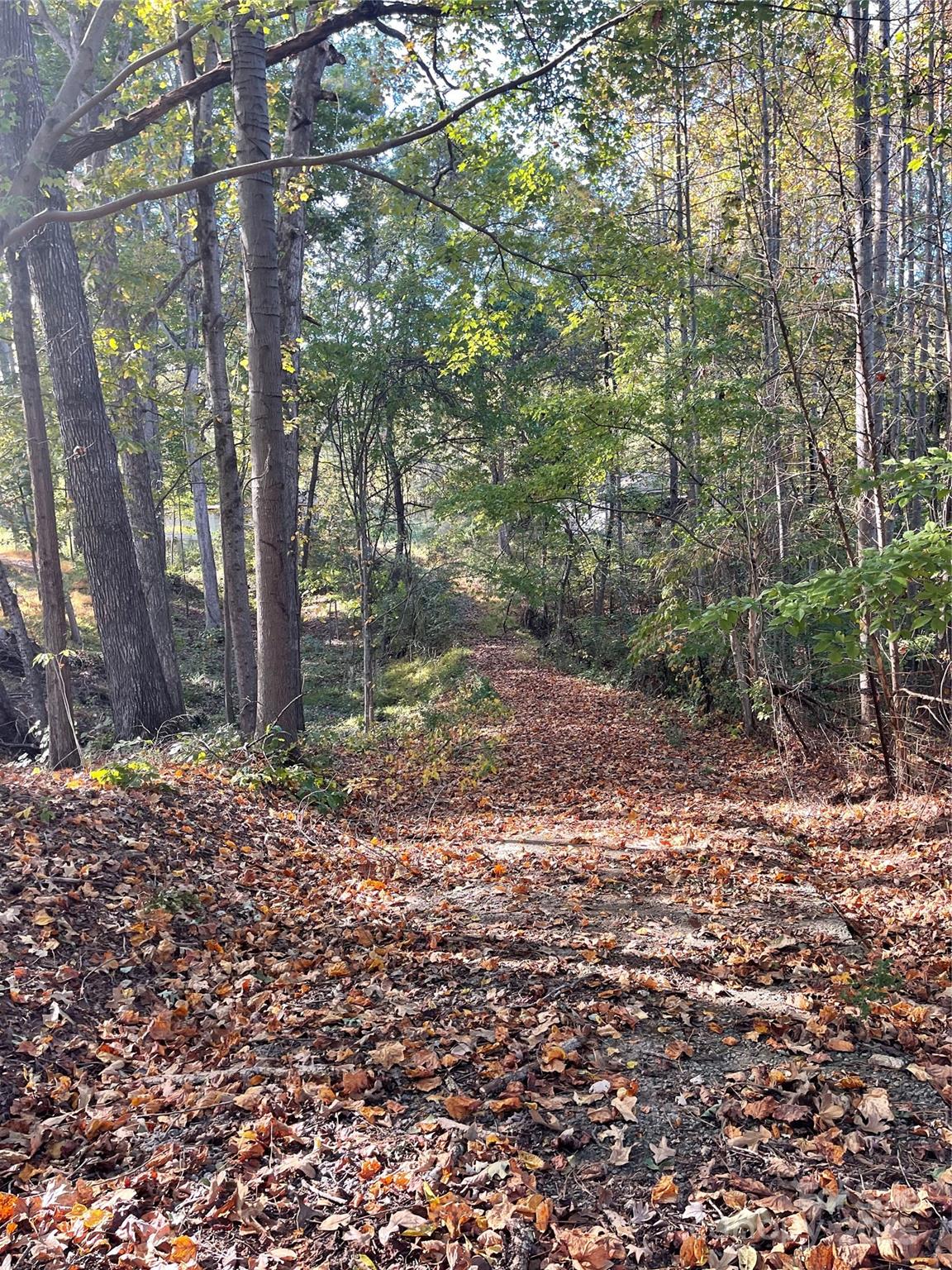 137 Stacy Road Mooresville, NC 28115 - Photo 9 of 9 a backyard of a house with lots of green space