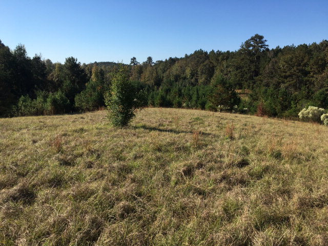 6776 McBride Road Pattison, MS 39144 - Photo 1 of 1 Main View