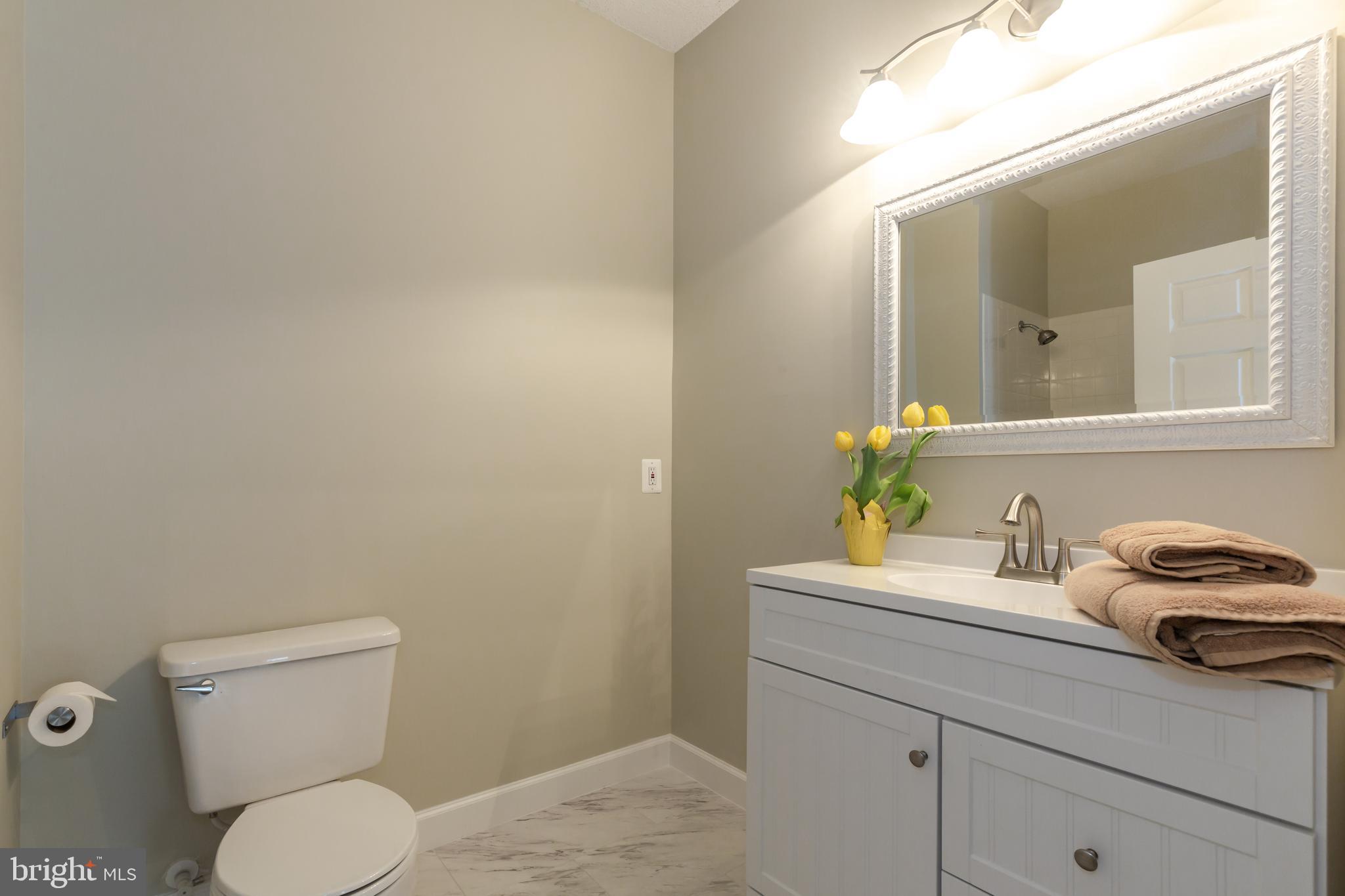 12012 Taliesin Place, Unit 14 Reston, VA 20190 - Photo 15 of 30 REMODELED BATH W/A NEW VANITY , MIRROR & LIGHTING