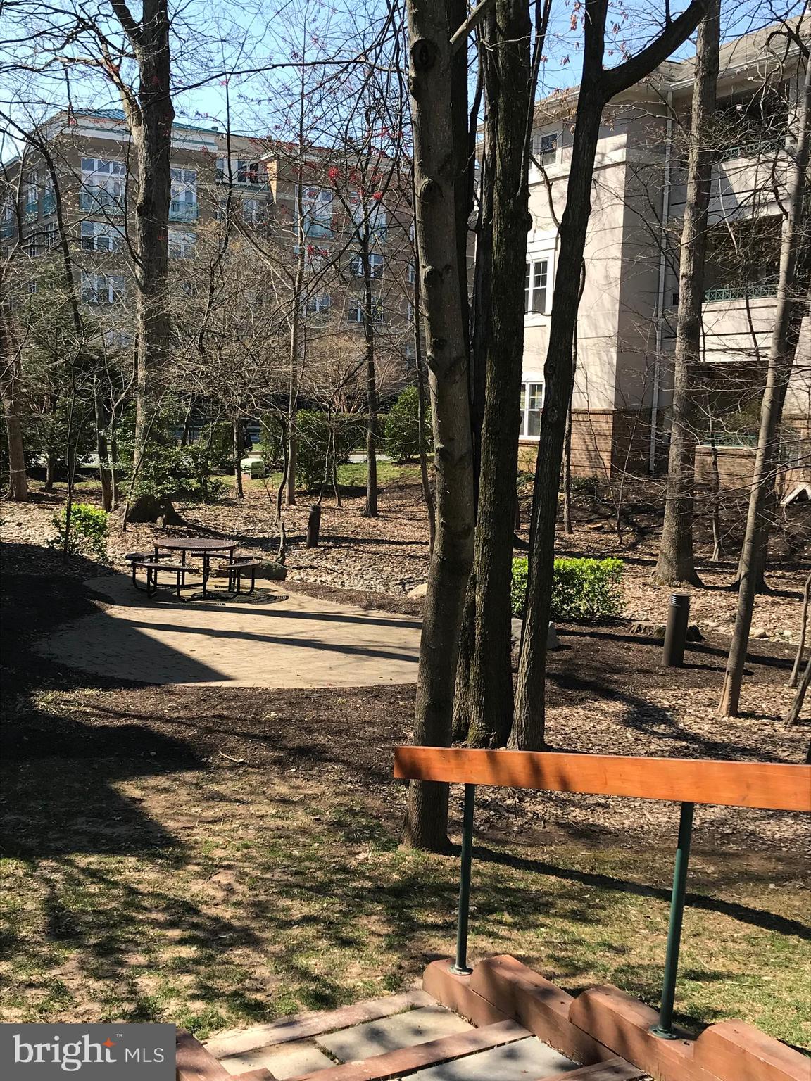 12012 Taliesin Place, Unit 14 Reston, VA 20190 - Photo 29 of 30 COMM AMENITIES: DOG FRIENDLY & PROF LANDSCAPED