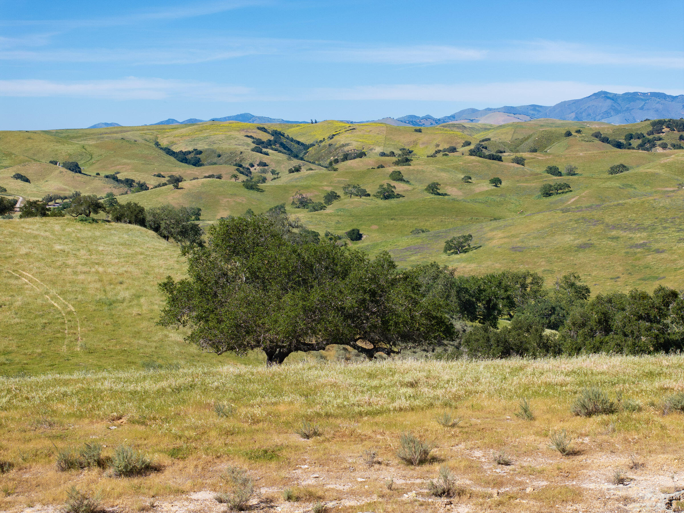 0 Alisos Canyon Road Los Alamos, CA 93440 - Photo 101 of 102 Alisos Canyon_0041