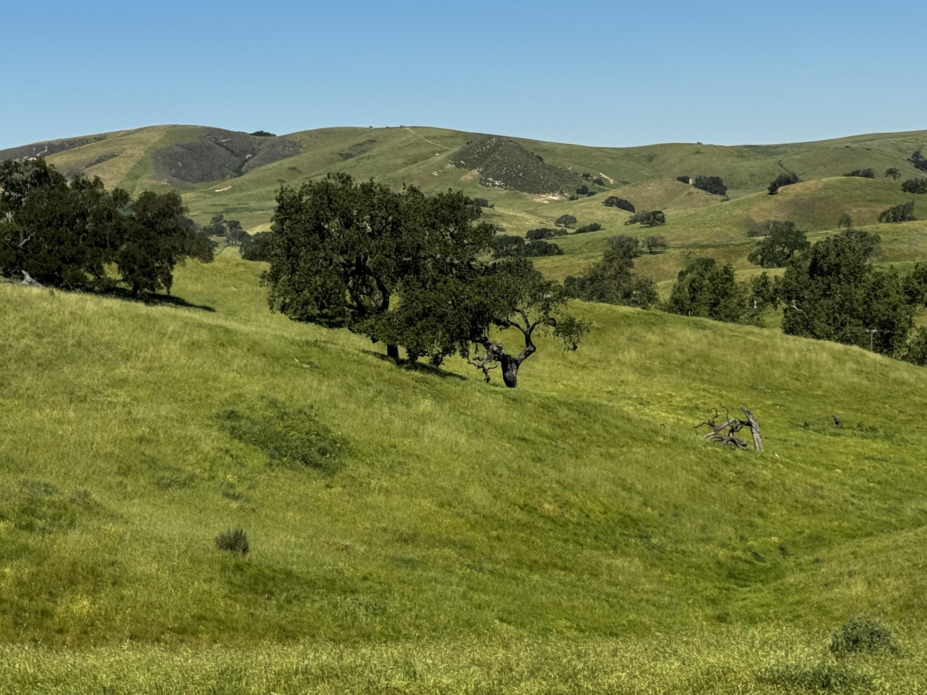 0 Alisos Canyon Road Los Alamos, CA 93440 - Photo 12 of 102 a view of a lush green hillside and houses