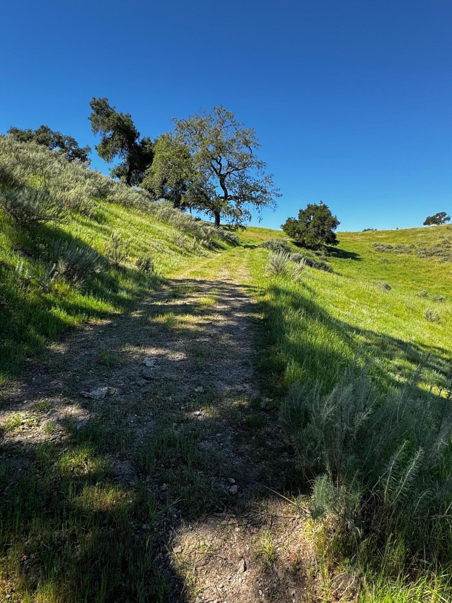 0 Alisos Canyon Road Los Alamos, CA 93440 - Photo 14 of 102 IMG_3675
