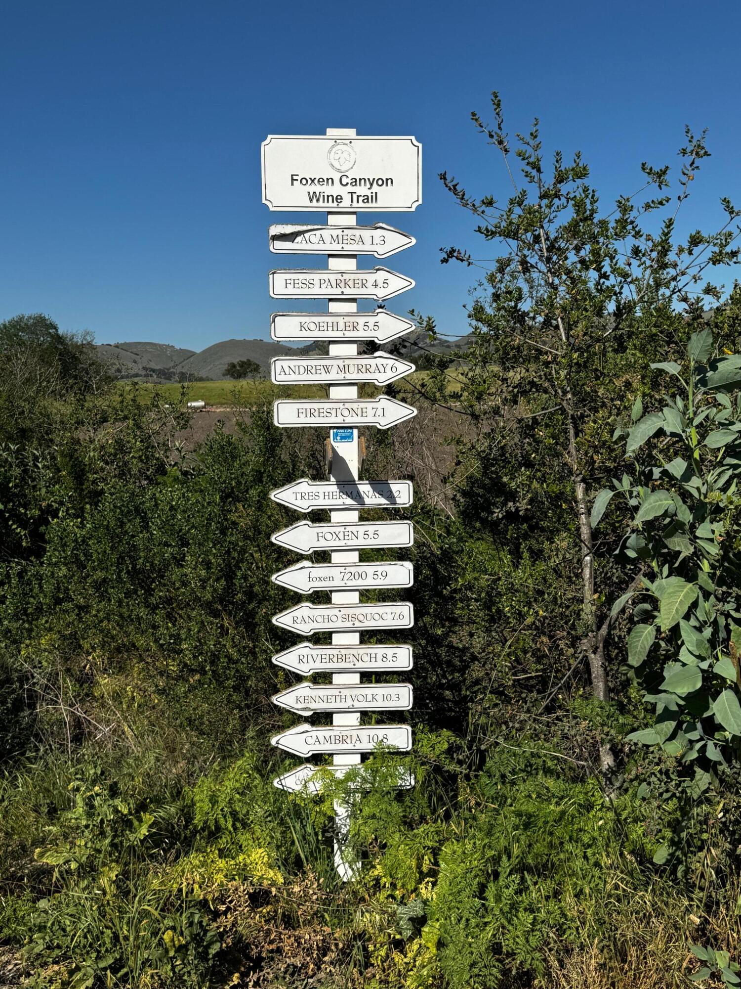 0 Alisos Canyon Road Los Alamos, CA 93440 - Photo 15 of 102 a view of a bunch of trees and bushes