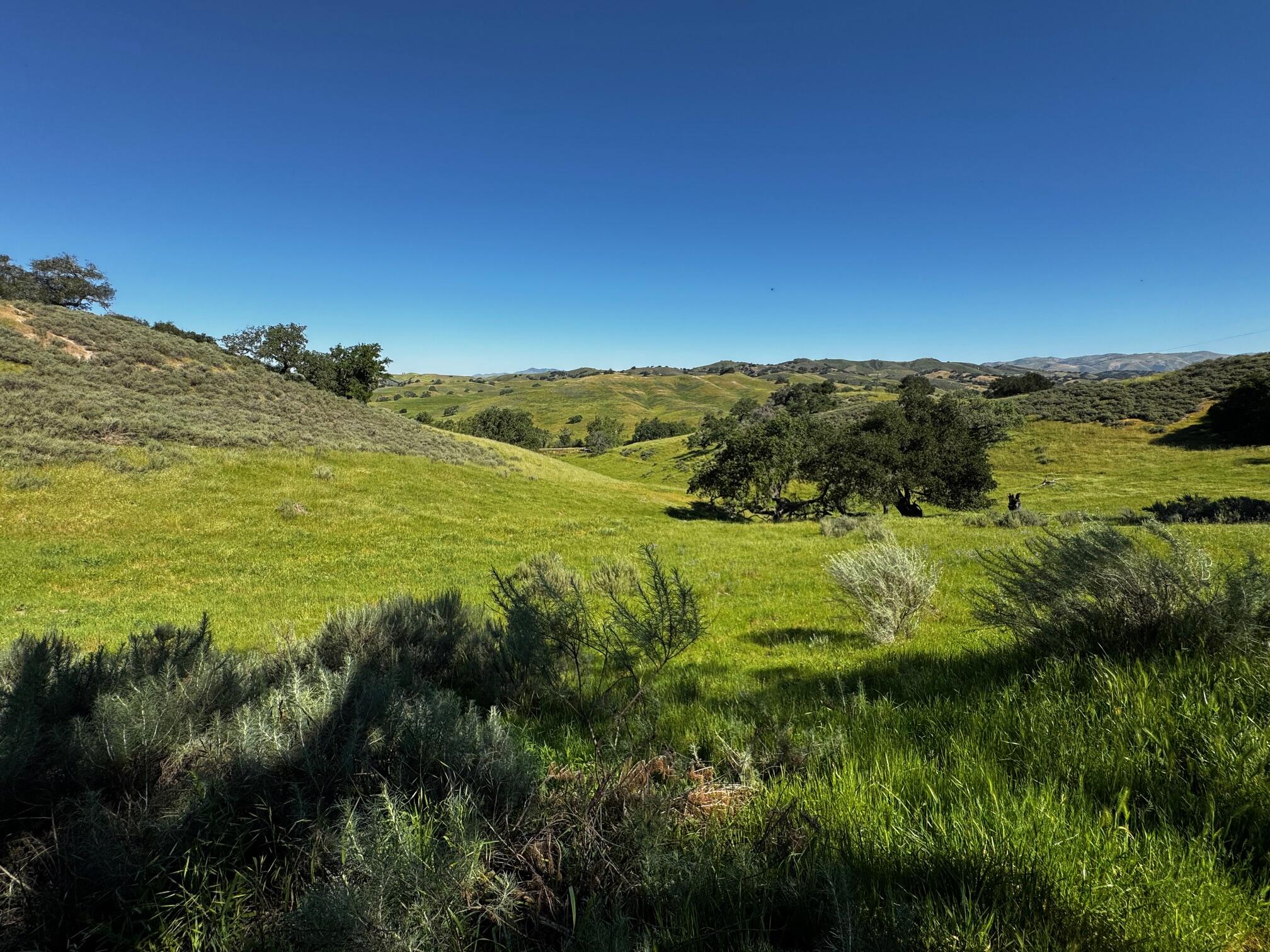 0 Alisos Canyon Road Los Alamos, CA 93440 - Photo 17 of 102 IMG_3672